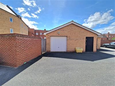 Picture 20